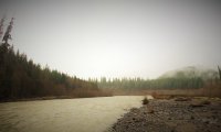 Gentle relaxation by a mountain stream