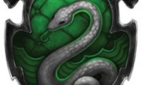 You may find Slytherin's commons surprising... nice.