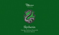 Study in the Slytherin common room