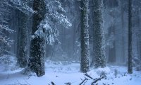 Being alone and hiking up a desolate mountainside during nighttime.