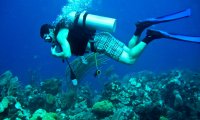 Scuba Diving in Ocean