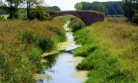 Enjoy the ambient sounds of Green Gables on a summer day