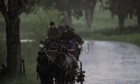 Riding in a carriage on a rainy day