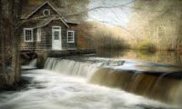 Forest Cabin Near a Waterfall