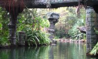 Jungle Cruise