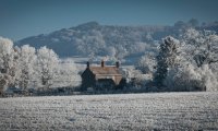 The perfect mix of New Zealand birds and English countryside to induce a writing muse.