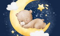 Baby Sleep Sounds (WhiteNoise)