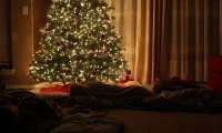 Sleeping Under the Christmas Tree