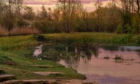 Spring Meadow Stream