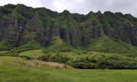 Rain at Jurassic Park