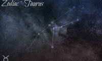 Zodiac Collection – Taurus