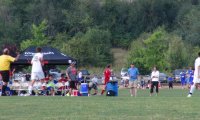 Large soccer crowd