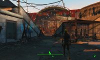 Fo4- Bradberton Ampitheater- THE PACK