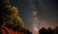 Camping Under the Stars