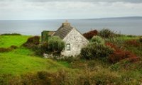 Cottage by the Sea