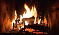 Sleeping by the fireplace with a man and a cat