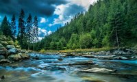 *Calm Guitar River Nature