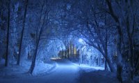 Sitting by a fireplace on a winter night