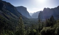 Music of a Mountain Forest