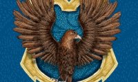 Study with the ravenclaws!